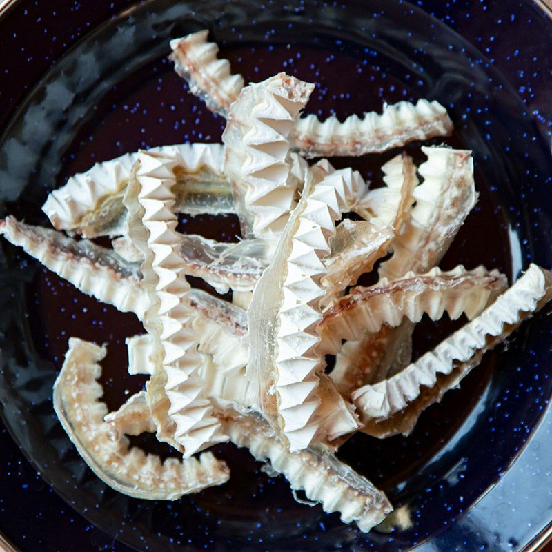 サメ軟骨スティック